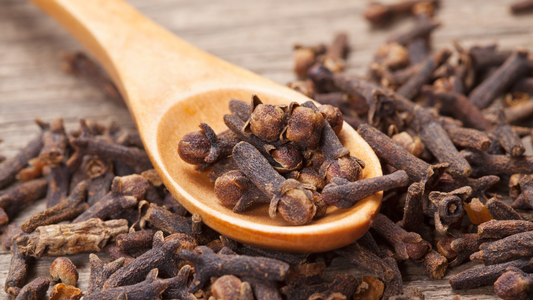 The Clove Chronicle: A Spice That Shaped History and Heals